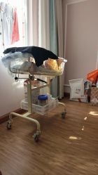 -仕馨母婴成长中心(樱花店)