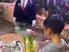 -正佳雨林生态植物园