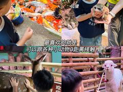 -正佳雨林生态植物园