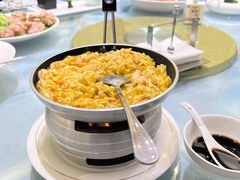 -丁老爷子苏香圆