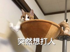 -Sony Store 索尼(上海淮海中路店)