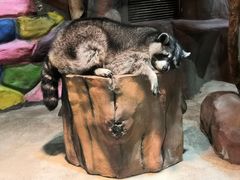 -顺德南宏海立方海洋公园