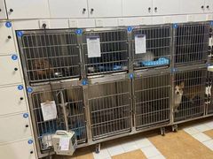 -西安京西宠物医院·瘫痪·疑难杂症