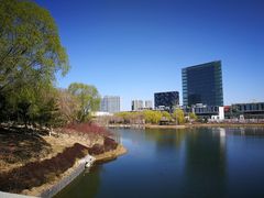 -大兴滨河森林公园