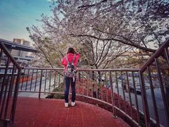 -上海南浦大桥长途旅游客运站