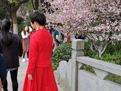 -范蠡湖公园