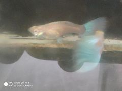 -大秦瓦罐(光谷大街店)