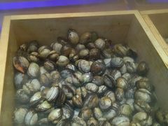 -韩盛炭火烤肉(万达广场店)