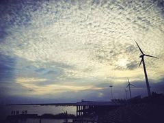 -碧海金沙