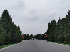 -北陵公园