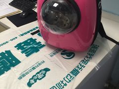 -瑞派宠物医院·24h·骨外科·皮肤科·全科宠物医疗转诊中心(沈阳浑南院)