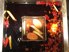 -红鼎坊·老成都火锅(新南门店)