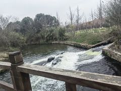 -白鹭湾湿地公园