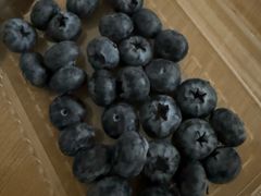 -西郊国际农产品交易中心