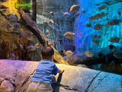 -沈阳海洋探索中心