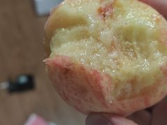 -南汇新场正宗水蜜桃采摘