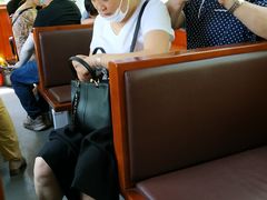 -合肥滨湖国家森林公园