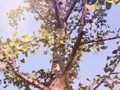 -南京金牛湖风景区