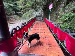 -黄山翡翠谷景区
