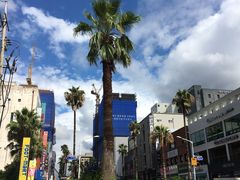 -宝健路步行街(Pedestrian Shopping Street)