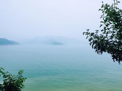 -望湖烤鱼
