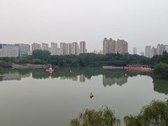 -青枫公园