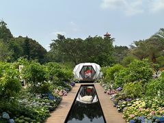 -深圳仙湖植物园
