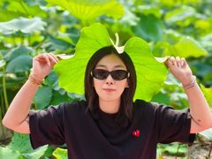 -白洋淀景区