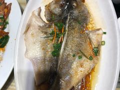 清蒸海鲈鱼-破店(井大店)
