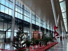 -胡志明新山一国际机场