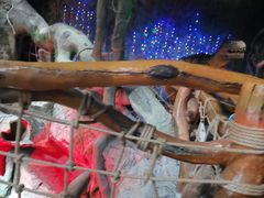 -多彩贵州城极地海洋世界