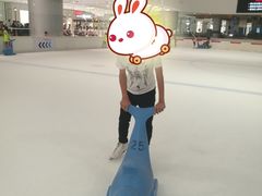 -TheRink大零溜冰场(IFS国金中心店)
