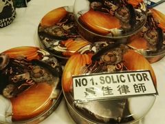-珍妮曲奇聪明小熊(尖沙咀店)