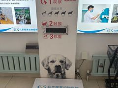 -北京观赏动物医院·24小时大型综合·猫专科·异宠专科