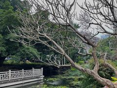 -晓港公园