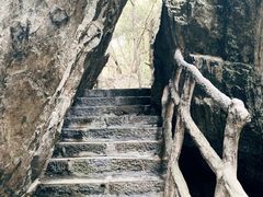 -石台牯牛降景区