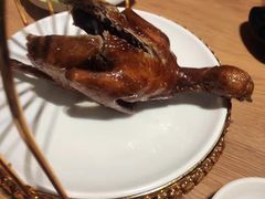 -小金鬼·煎饺·鸽子汤