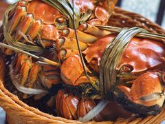 -蟹村草堂·苏式园林人文农家·大闸蟹