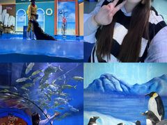 -重庆欢乐海底世界