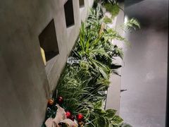 -施奈儿.洗头頭療.按摩SPA.采耳(上梅林店)