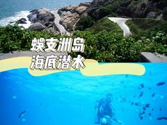 -亚龙湾海底世界