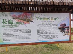 -芒洲湿地公园