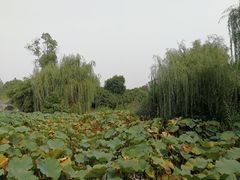 -韩湘水博园