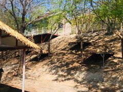 -北京鹿世界主题园