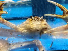 -永辉超市(福州市大儒世家店)