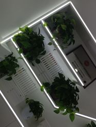 点击看大图 -蕾特恩专业祛痘·皮肤管理