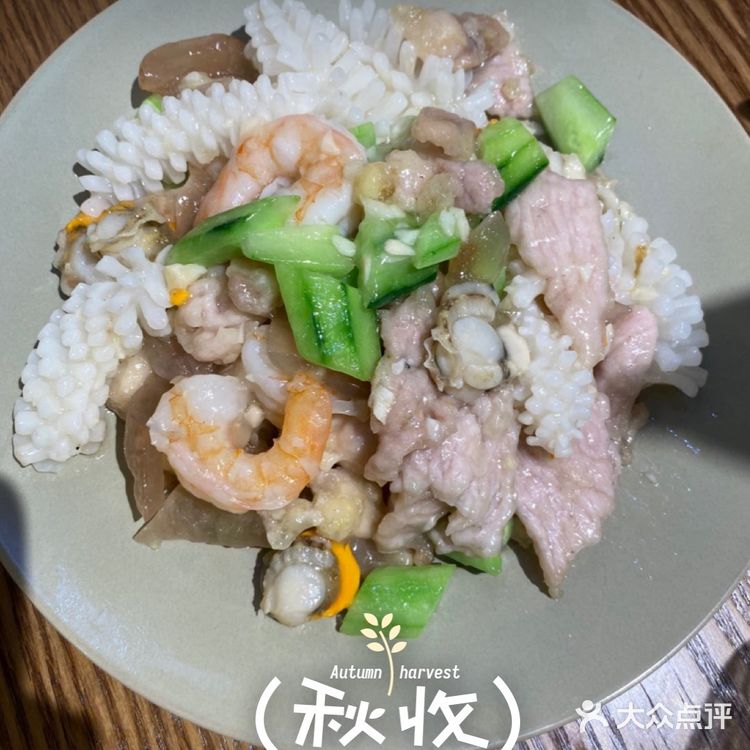 2024年总结|我推荐的好去处