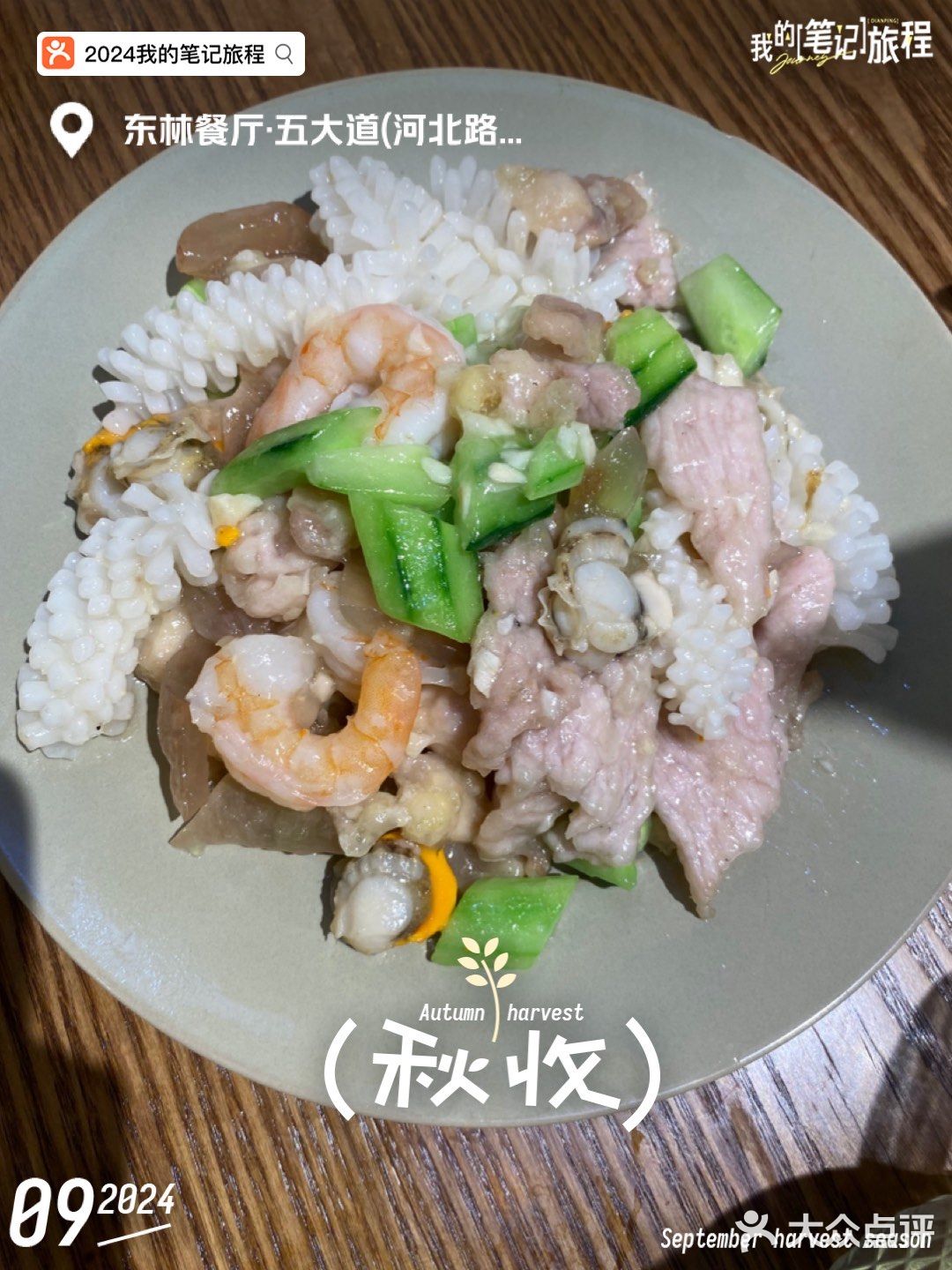 2024年总结｜我推荐的好去处