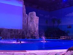 -华夏文旅海洋公园