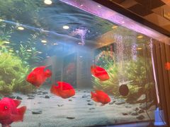 -东四民芳餐厅(朝阳门店)